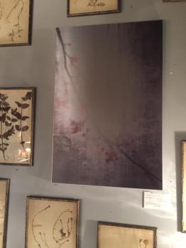 a6597701-69b4-45df-a311-e4fa44fb08b7